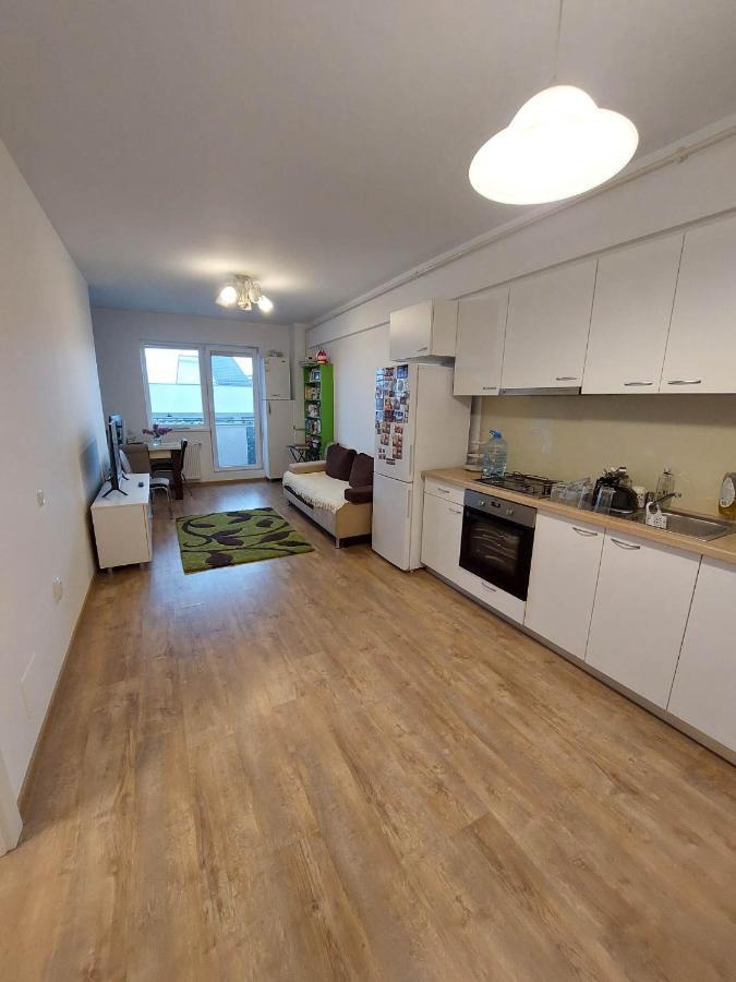 Iris Cluj Apartament Екстериор снимка